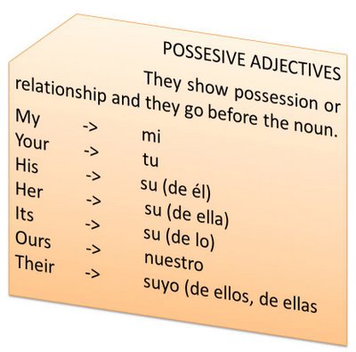 Adjective Words on Possessive Adjectives    De Madrid A Leyton